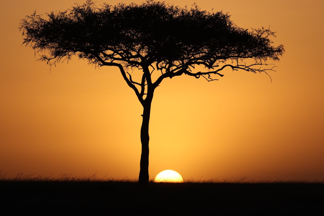 Kenya eSIM 2026: Honest Review of the Best Plans & Providers