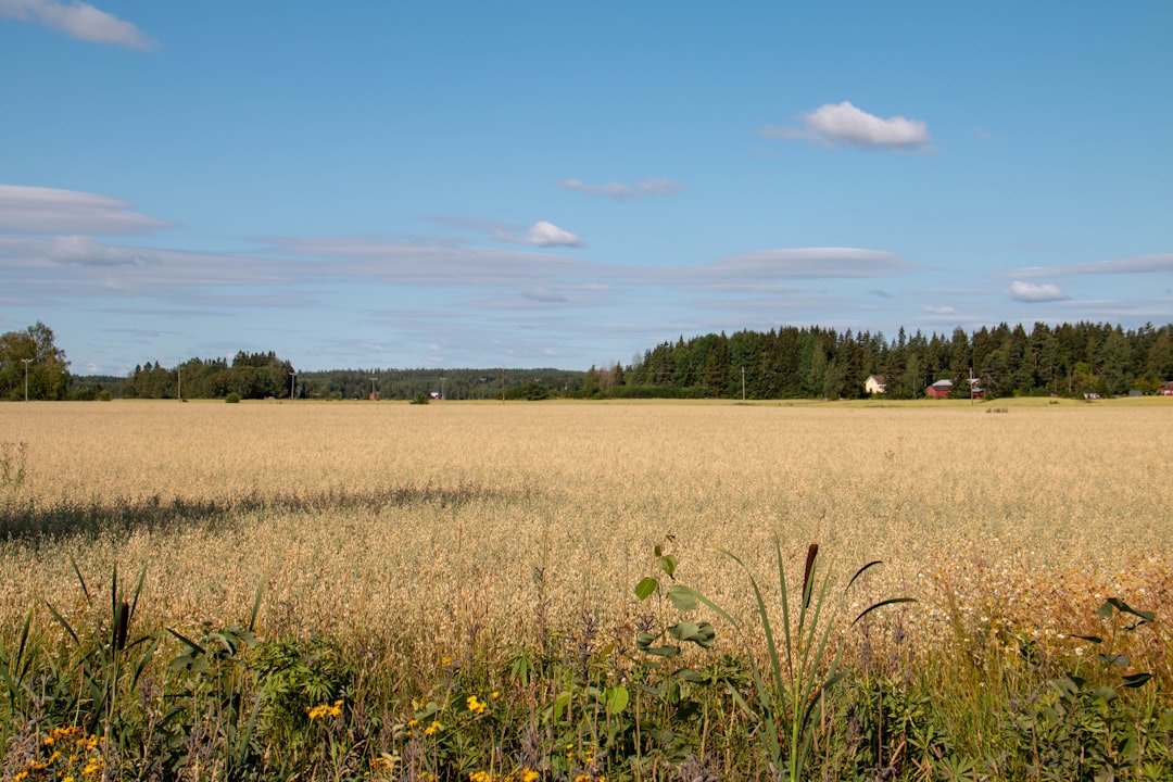 Finland eSIM Guide 2026: Top Providers, Costs & How to Activate