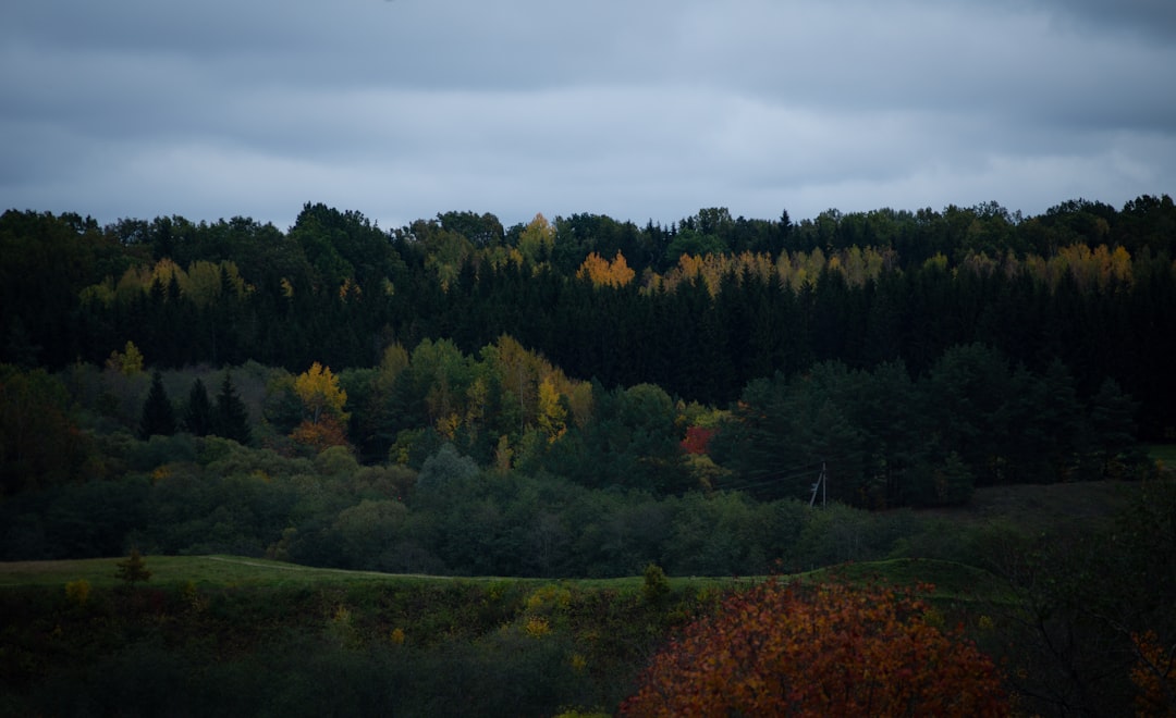 Lithuania eSIM 2026: Honest Review of the Best Plans & Providers