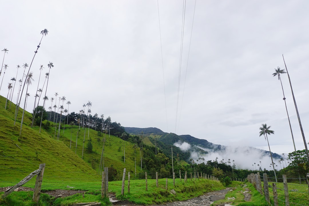 Top eSIM Options for Colombia in 2026: Full Breakdown & Recommendations