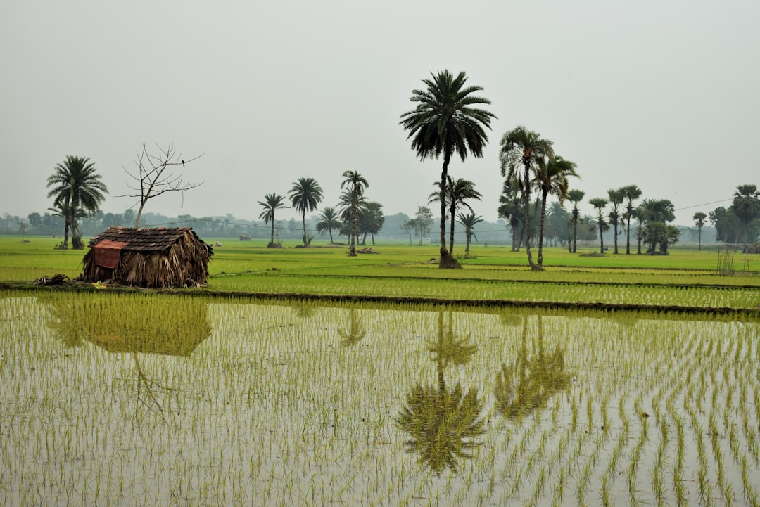 eSIM for Bangladesh 2026: Which Provider Is Actually Worth It?