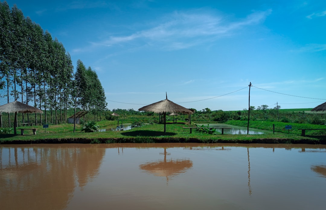 Top eSIM Options for Paraguay in 2026: Full Breakdown & Recommendations