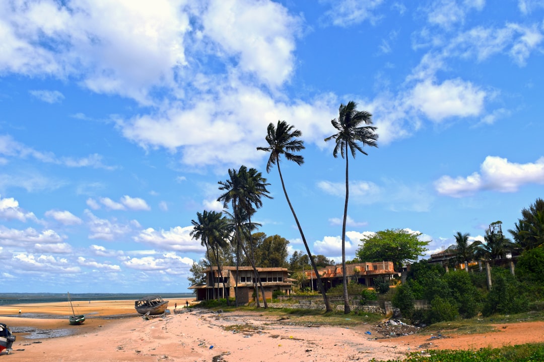 Best eSIM Cards for Mozambique (2026): Compare Plans & Save on Roaming